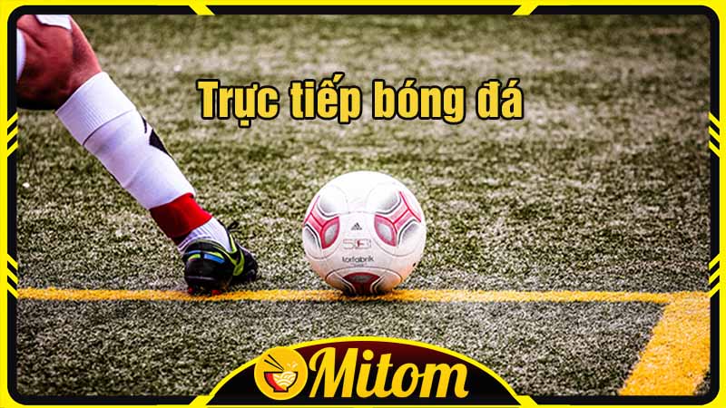 Cách sử dụng Mitom TV